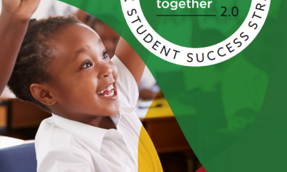 PDSB we rise together: BSS Strategy 